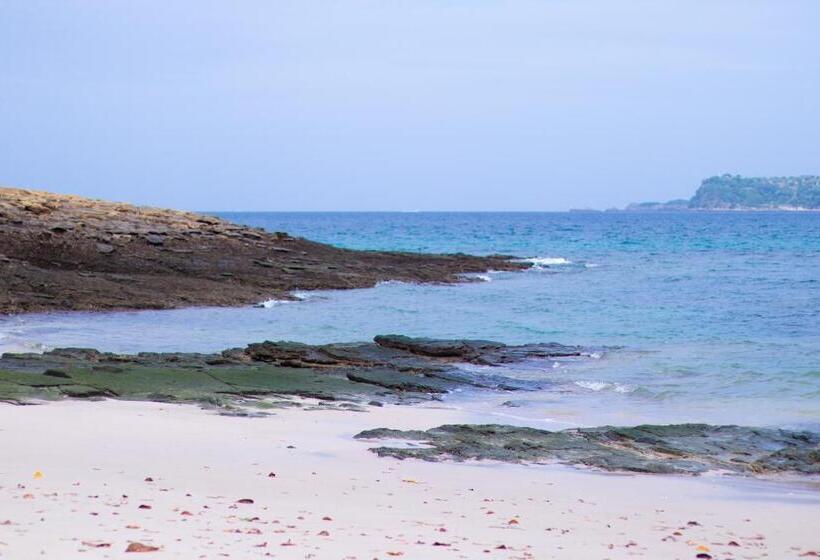 Студия Deluxe, Avani