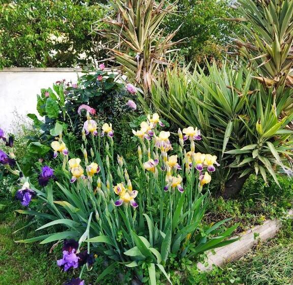 带大床的标准间, Gite Modes Et Café