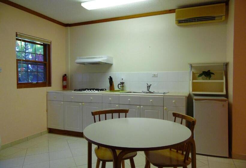 استودیو استاندارد با تخت کینگ, Vacation Suites
