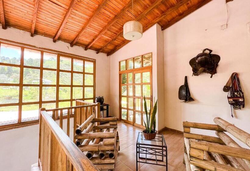 Четырехместный номер Премиум, Los Lagos De Jasú