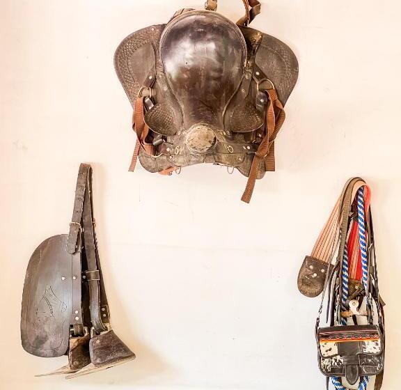 Четырехместный номер Премиум, Los Lagos De Jasú