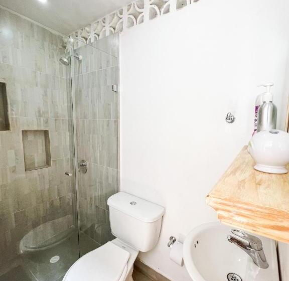 Номер Стандарт, Los Lagos De Jasú