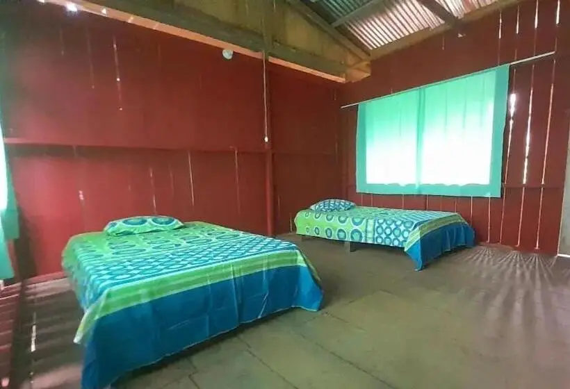 Standard-huone Jaettu Kylpyhuone, Metare Eco Hostal Amazonas