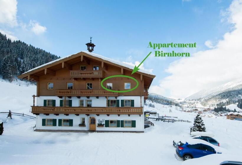 آپارتمان 1 خوابه, Riederhof