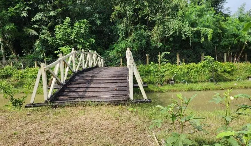 Juniorsviitti Puutarhanäkymä, Damodar River Retreat, Uluberia