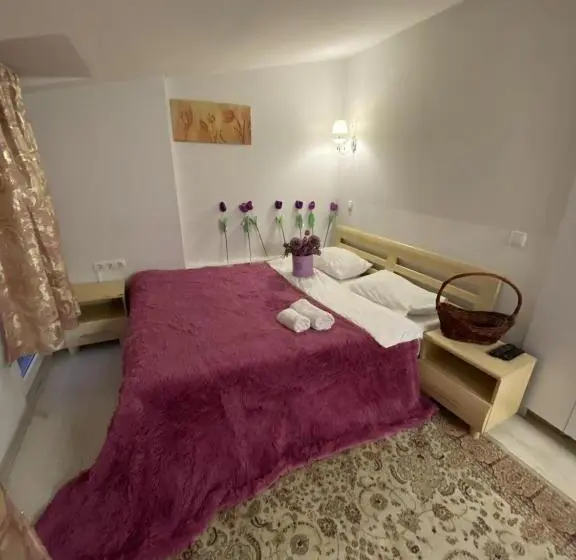 اتاق اکونومی, Art Studio