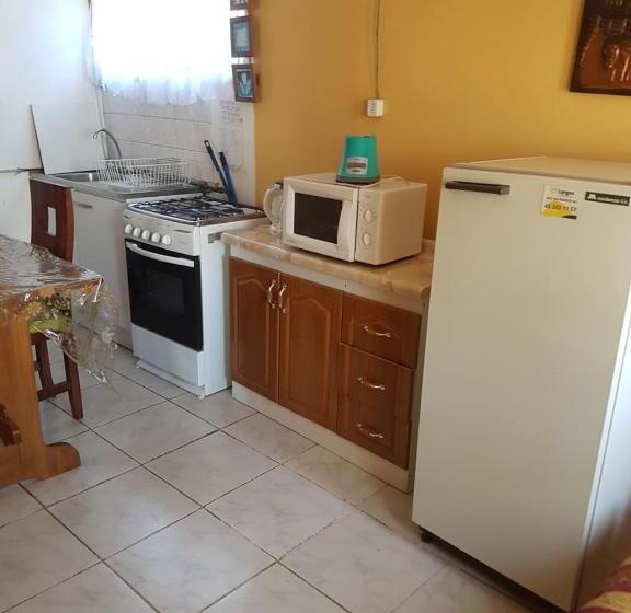 בונגלו משפחתי, Cabañas Patricia Licanray