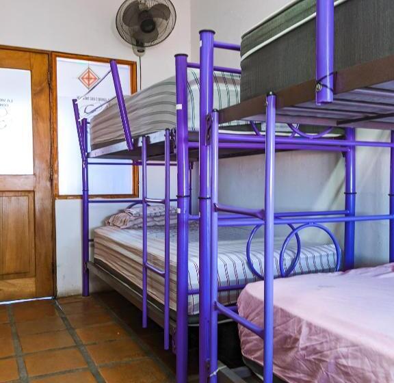 共用房间的床, Chanclas Hostel Vallarta