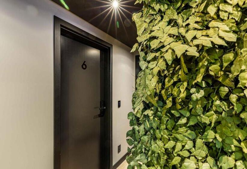 디럭스 스위트, Elephant Office Brasil