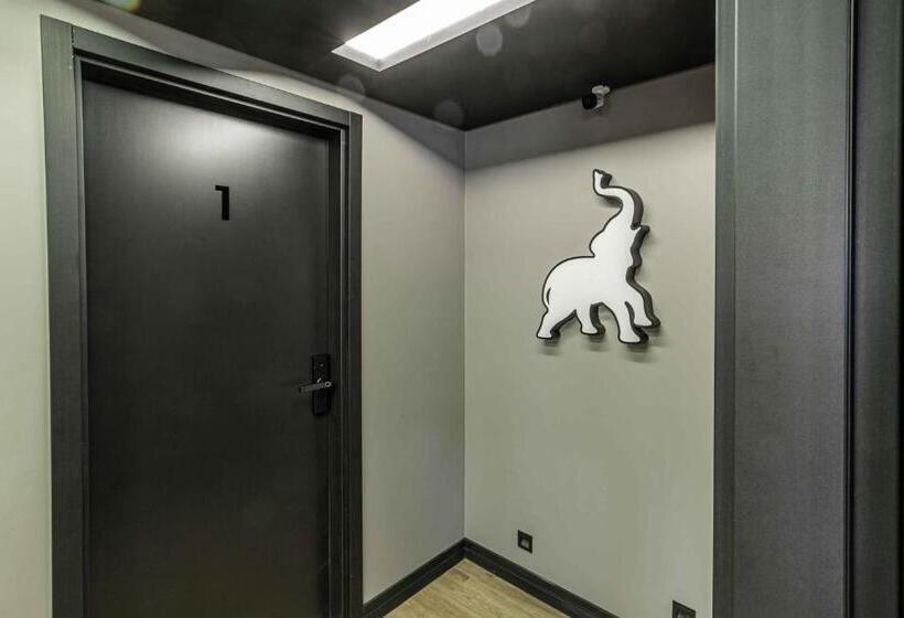 스탠다드 스튜디오, Elephant Office Brasil