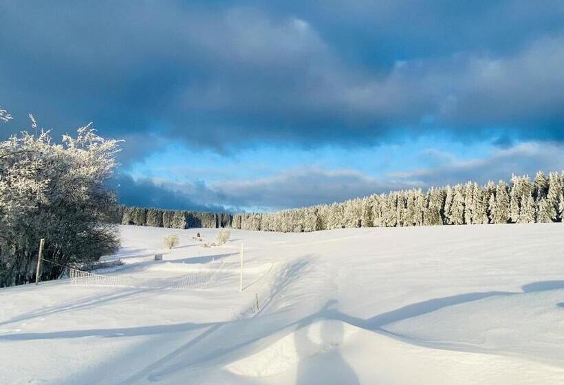 スタンダードシングルルーム, Haus Rosenbaum Gruppenhaus  Begegnungsstätte   Pension