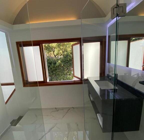 غرفة ديلوكس, Siete Puertas Coyoacán