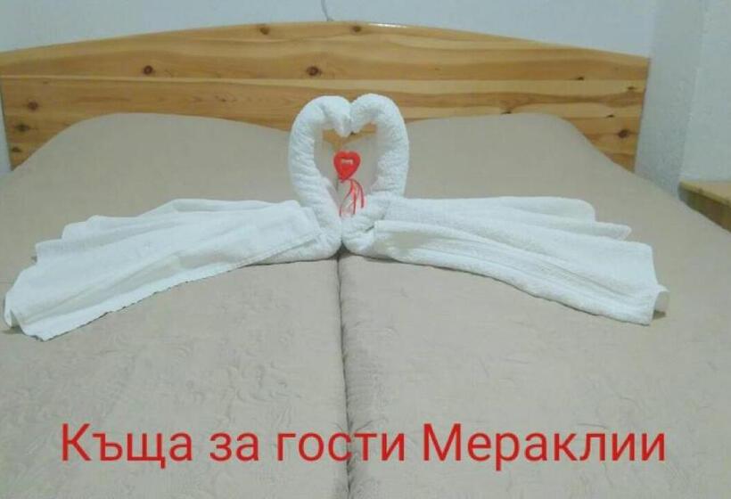 غرفة قياسية, Guest House Meraklii