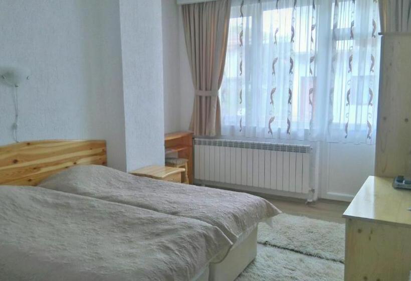 غرفة قياسية, Guest House Meraklii