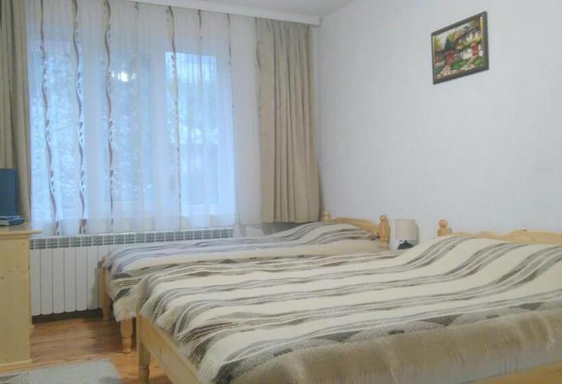 Номер Стандарт Трехместный, Guest House Meraklii