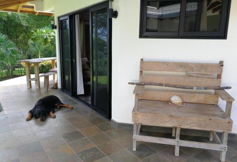 디럭스 룸 측면 바다 전망, Oceanfront Gem At La Joya De Lagarto