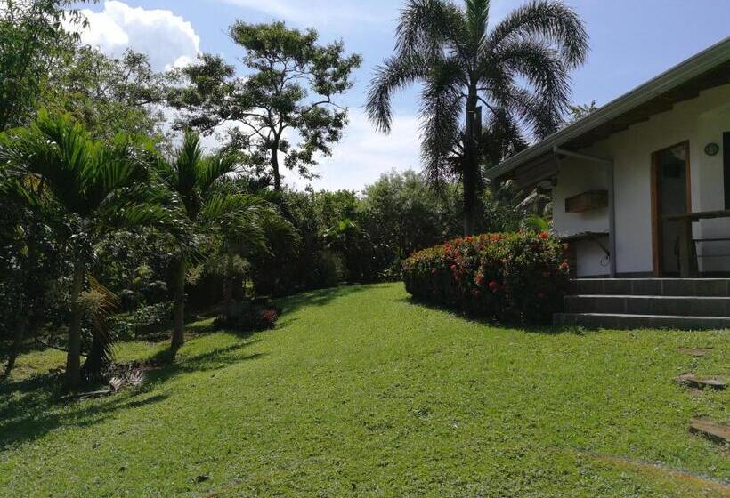 디럭스 룸 측면 바다 전망, Oceanfront Gem At La Joya De Lagarto