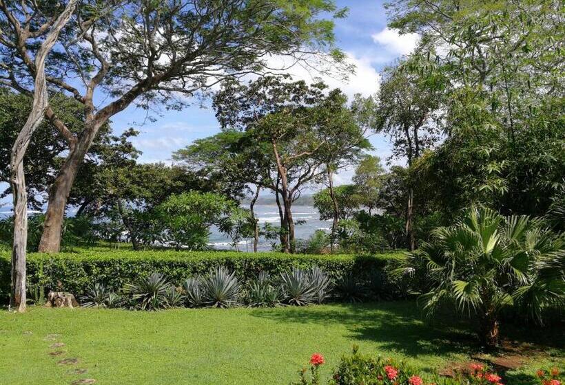 디럭스 룸 측면 바다 전망, Oceanfront Gem At La Joya De Lagarto