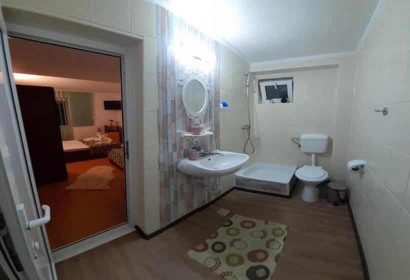 Номер Стандарт, Trei Brazi 39