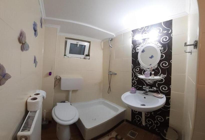 Номер Стандарт, Trei Brazi 39