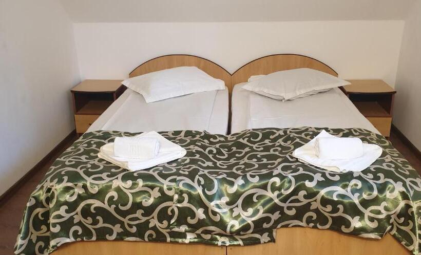 Номер Стандарт, Trei Brazi 39