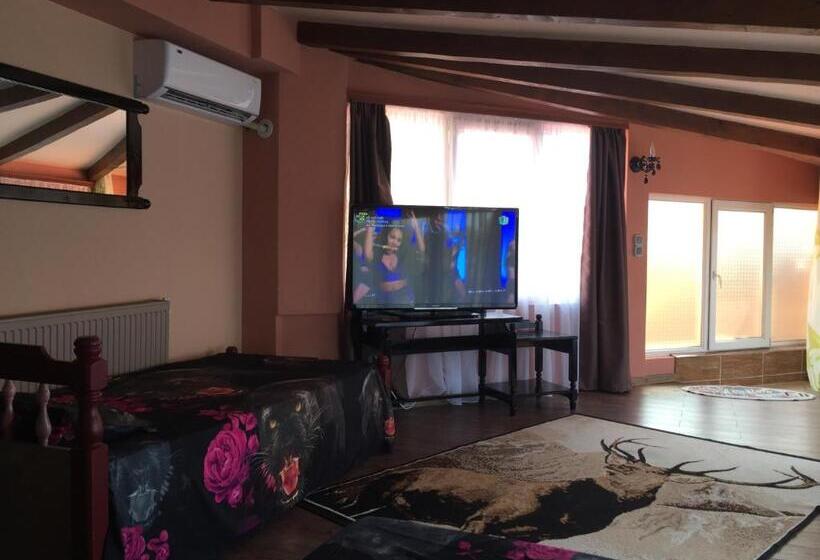 Economy Triple Room, Vila Ella