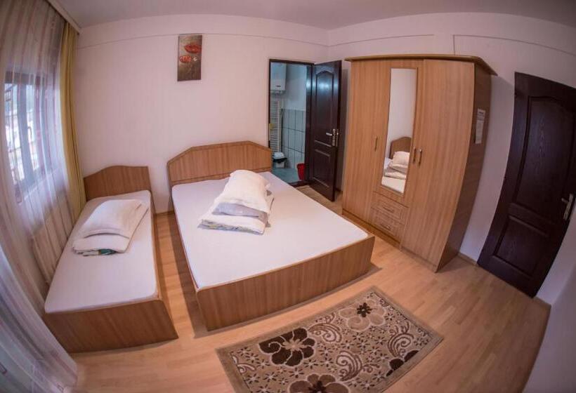 Номер Стандарт Трехместный, Pensiunea Dalia Voineasa