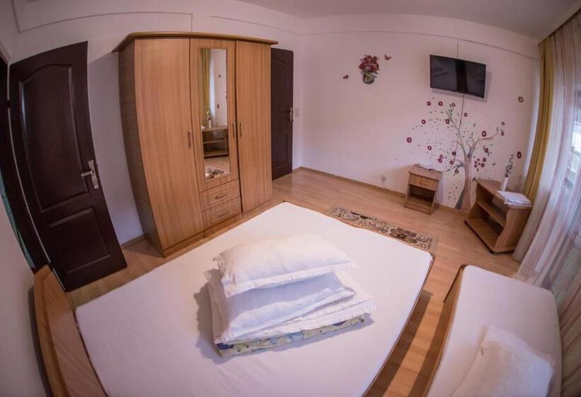 Номер Стандарт Трехместный, Pensiunea Dalia Voineasa