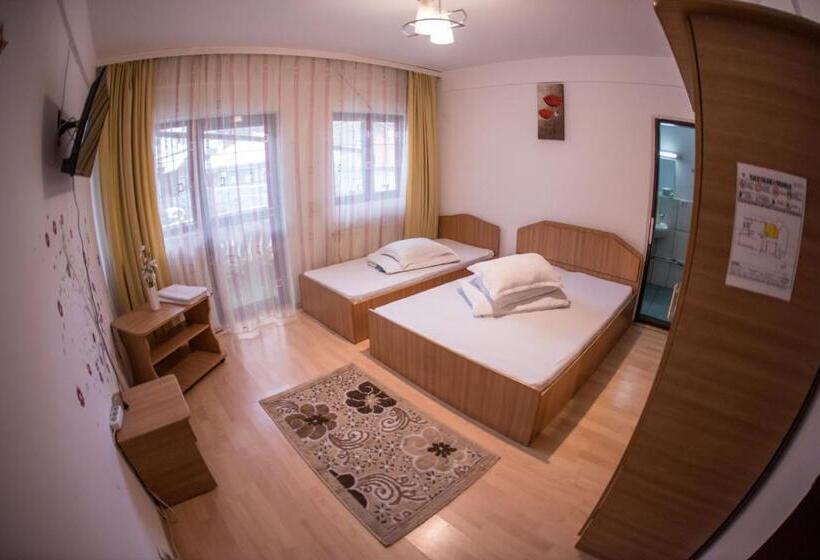 Номер Стандарт Трехместный, Pensiunea Dalia Voineasa