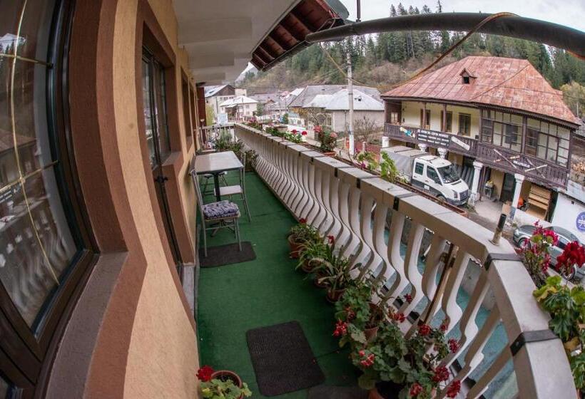 Номер Стандарт Трехместный, Pensiunea Dalia Voineasa