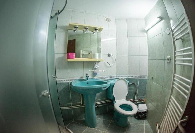 Номер Стандарт Трехместный, Pensiunea Dalia Voineasa