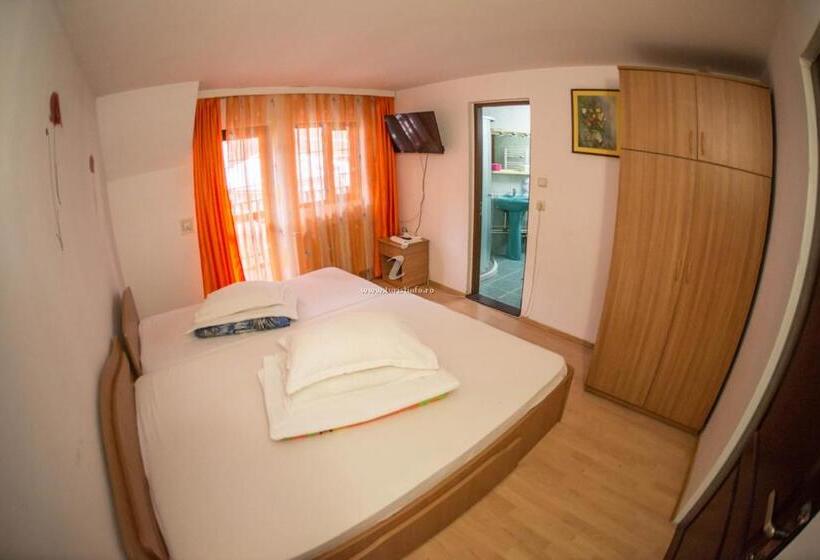 Номер Стандарт Трехместный, Pensiunea Dalia Voineasa