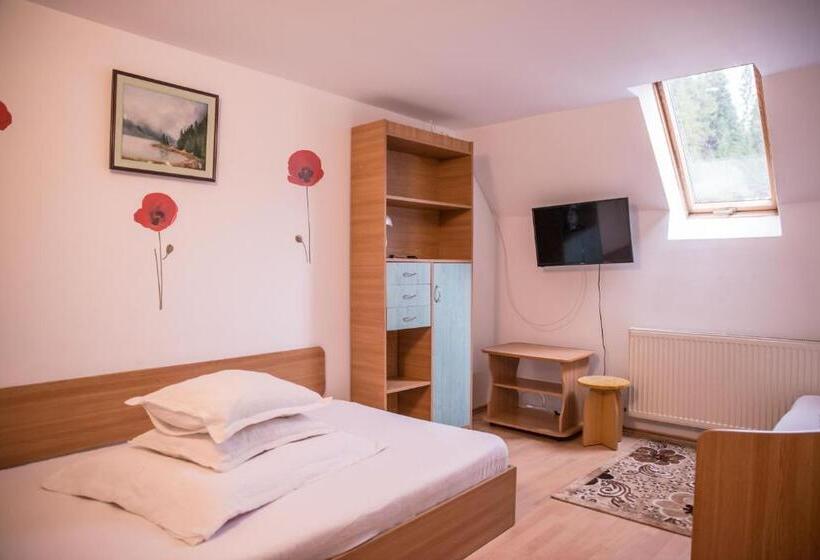 Номер Стандарт Трехместный, Pensiunea Dalia Voineasa