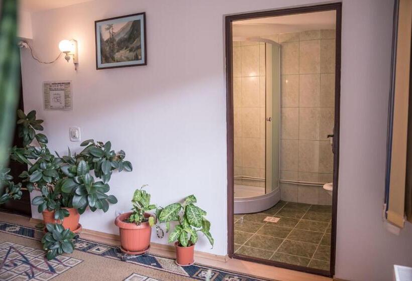 Номер Стандарт Трехместный, Pensiunea Dalia Voineasa