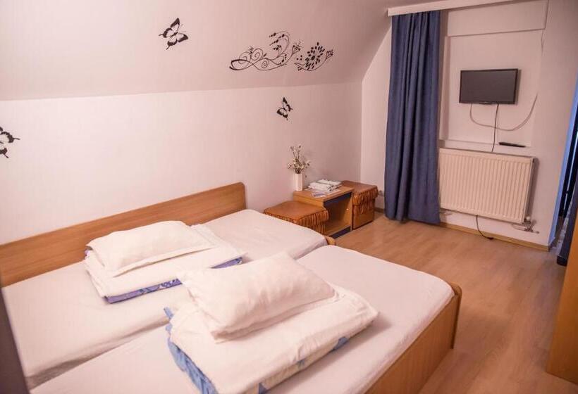 Номер Стандарт, Pensiunea Dalia Voineasa