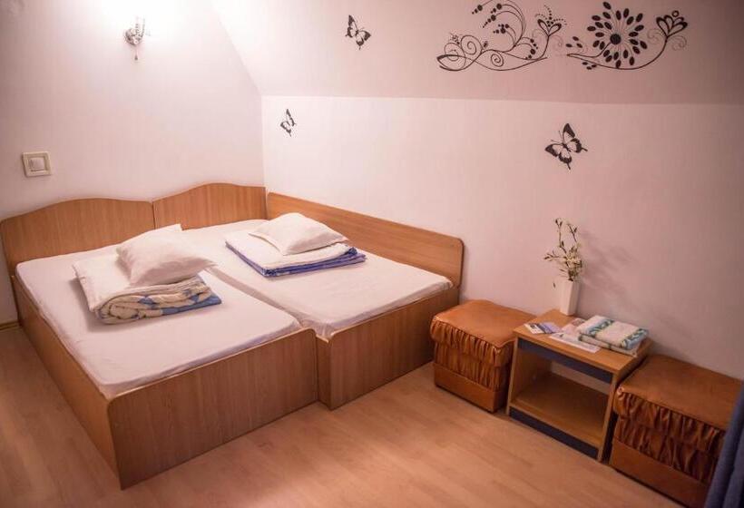 Номер Стандарт, Pensiunea Dalia Voineasa