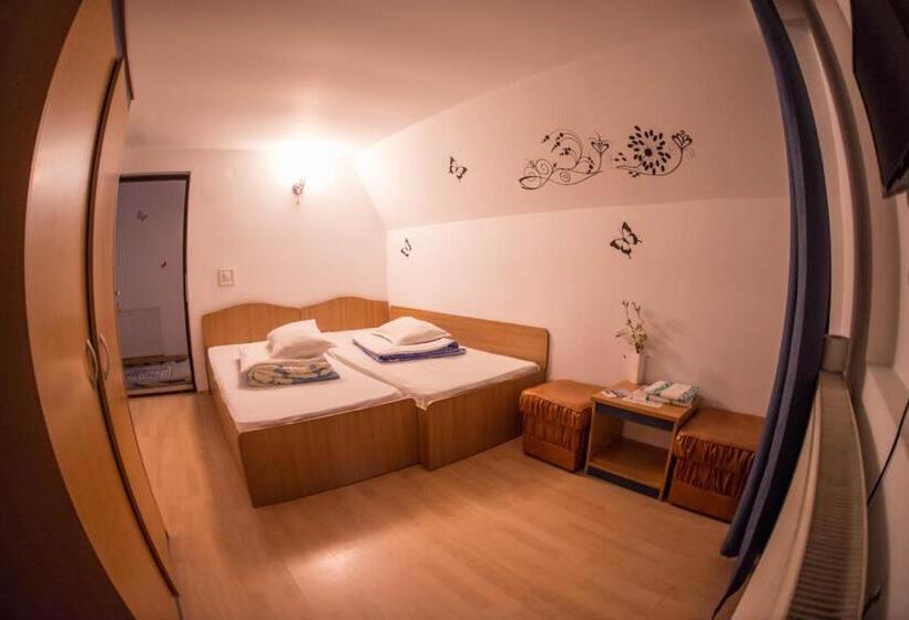 Номер Стандарт, Pensiunea Dalia Voineasa