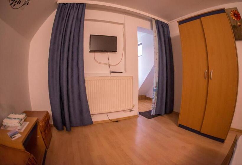 Номер Стандарт, Pensiunea Dalia Voineasa