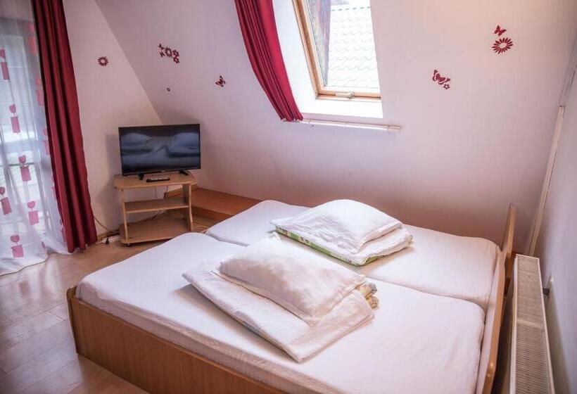 Номер Стандарт, Pensiunea Dalia Voineasa