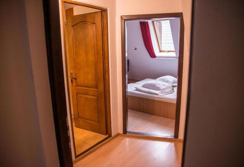 Номер Стандарт, Pensiunea Dalia Voineasa