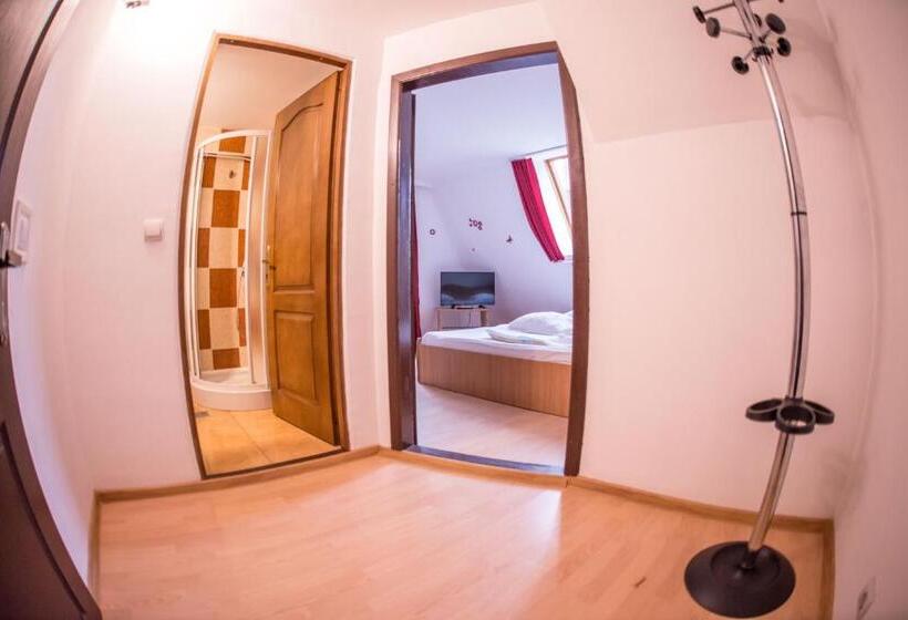 Номер Стандарт, Pensiunea Dalia Voineasa