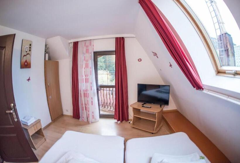 Номер Стандарт, Pensiunea Dalia Voineasa