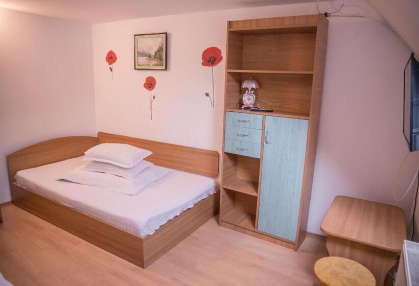 Номер Стандарт Трехместный, Pensiunea Dalia Voineasa