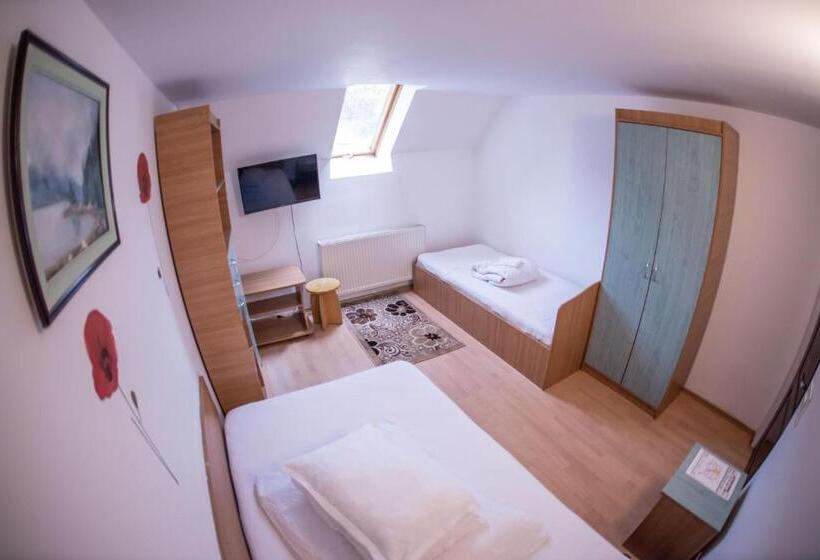 Номер Стандарт Трехместный, Pensiunea Dalia Voineasa