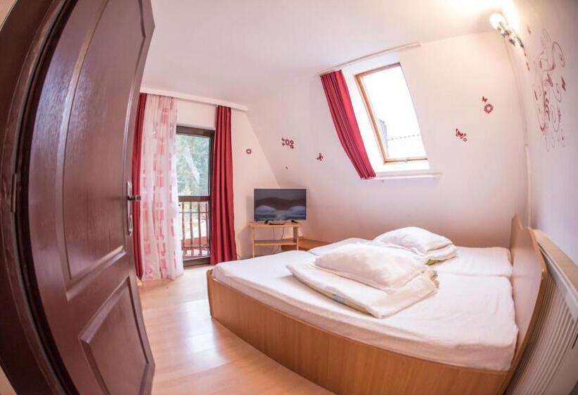 Номер Стандарт, Pensiunea Dalia Voineasa