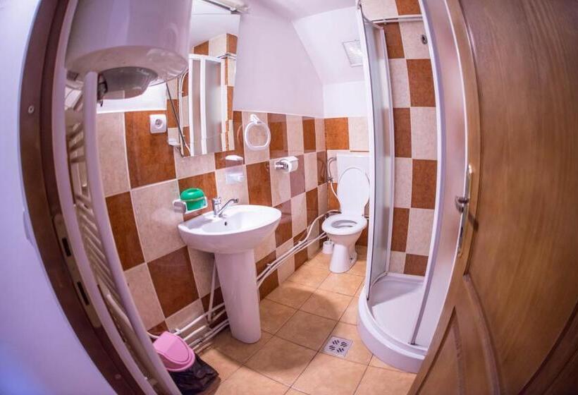 Номер Стандарт, Pensiunea Dalia Voineasa