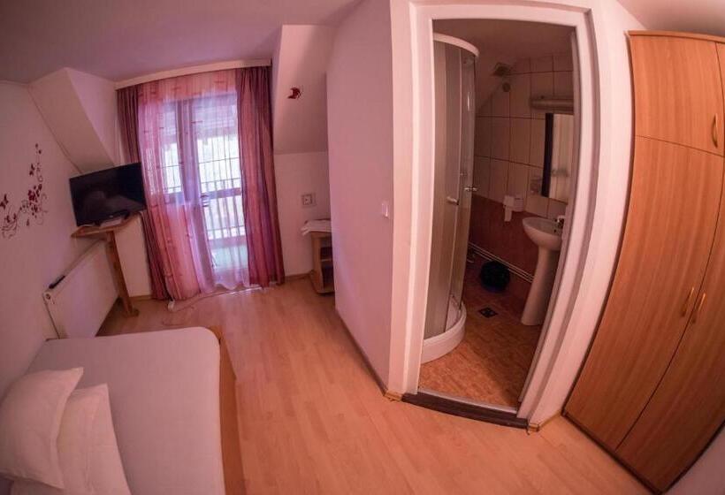 Номер Стандарт, Pensiunea Dalia Voineasa