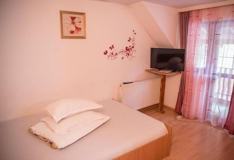 Номер Стандарт, Pensiunea Dalia Voineasa