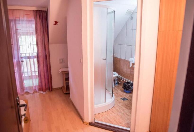 Номер Стандарт, Pensiunea Dalia Voineasa