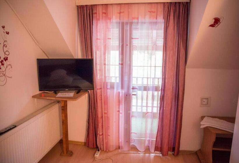 Номер Стандарт, Pensiunea Dalia Voineasa